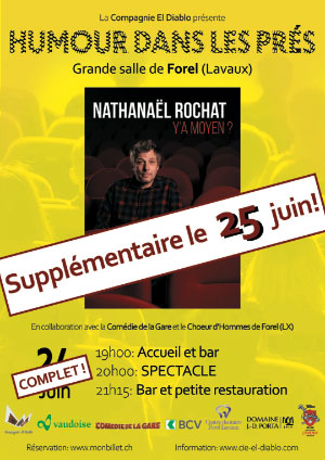 Affiche de l'évènement La Compagnie El Diablo présente Humour dans les prés – Nathanaël Rochat – Y'a moyen