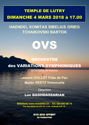 Affiche de l'évènement Les Solistes de l'OVS – Orchestre des Variations Symphoniques